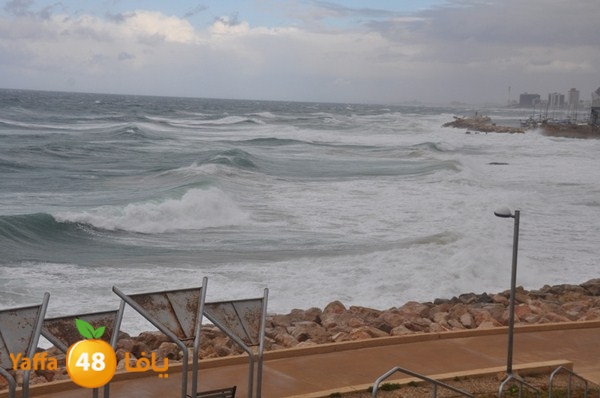 yaffa rain 1211 (21).JPG